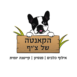 הקאנטה של צ׳יף – אילוף כלבים | פנסיון | קייטנה יומית