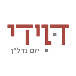 דוידי יזם נדל"ן